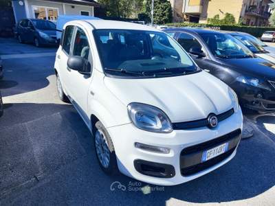 Fiat Panda FireFly S&S Hybrid Easy Bianco usata Serino