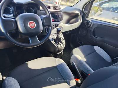 Fiat Panda FireFly S&S Hybrid Easy Bianco usata Serino