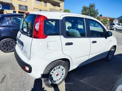 Fiat Panda FireFly S&S Hybrid Easy Bianco usata Serino