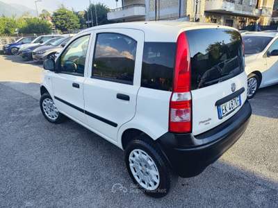 Fiat Panda DPF 4x4 Climbing Bianco usata Serino