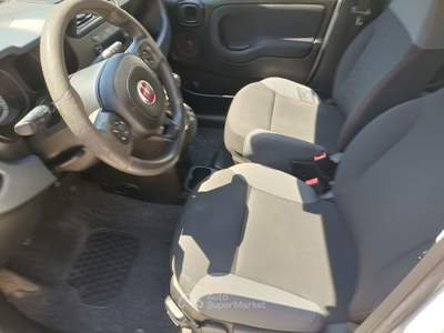 Fiat Panda Vettura unico proprietario in eccellenti condizioni, Bianco usata FOGGIA