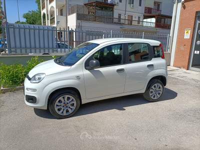 Fiat Panda Vettura unico proprietario in eccellenti condizioni, Bianco usata FOGGIA