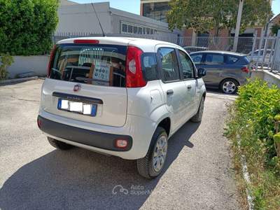 Fiat Panda Vettura unico proprietario in eccellenti condizioni, Bianco usata FOGGIA