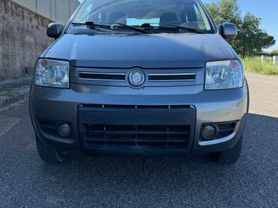 Fiat Panda GPL Grigio usata Farnese
