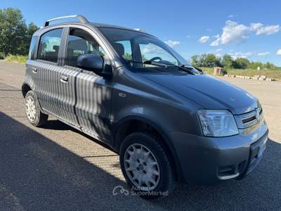 Fiat Panda GPL Grigio usata Farnese