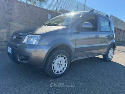 Fiat Panda GPL Grigio usata Farnese
