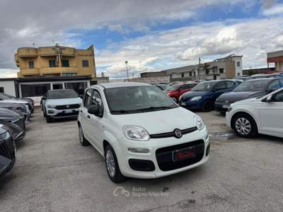 Fiat Panda 1.0 FireFly S&S Hybrid Easy Bianco usata Volla