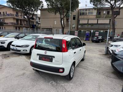 Fiat Panda 1.0 FireFly S&S Hybrid Easy Bianco usata Volla