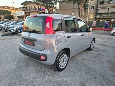 Fiat Panda 1.0 FireFly S&S Hybrid Easy Grigio usata Volla