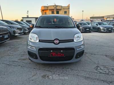 Fiat Panda 1.0 FireFly S&S Hybrid Easy Grigio usata Volla