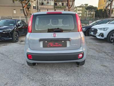 Fiat Panda 1.0 FireFly S&S Hybrid Easy Grigio usata Volla