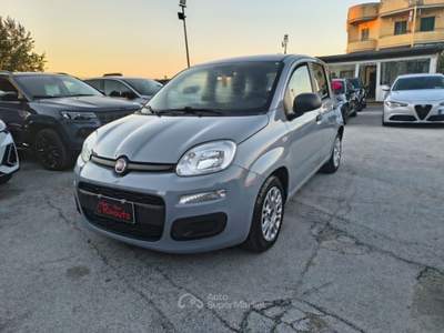 Fiat Panda 1.0 FireFly S&S Hybrid Easy Grigio usata Volla
