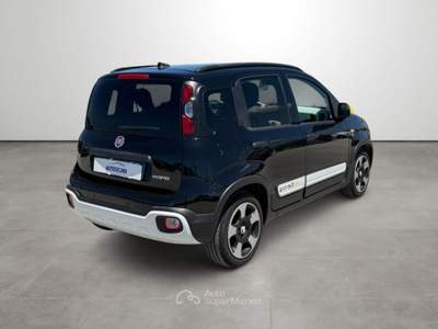 Fiat Panda 1.0 FireFly S&S Hybrid Pandina Nero usata Marsala