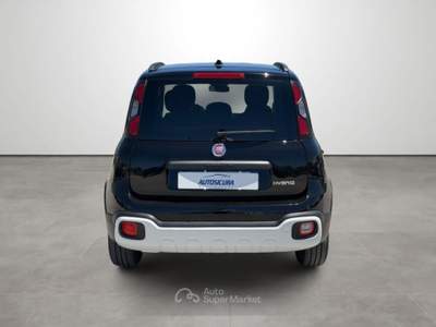 Fiat Panda 1.0 FireFly S&S Hybrid Pandina Nero usata Marsala