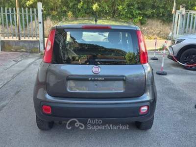 Fiat Panda 1.2 Easy Grigio usata Itri