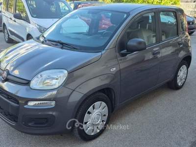 Fiat Panda 1.2 Easy Grigio usata Itri