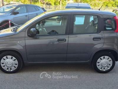 Fiat Panda 1.2 Easy Grigio usata Itri