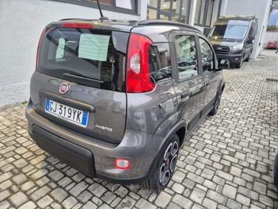 Fiat Panda Panda  1.0 firefly hybrid City Life Grigio usata LECCO