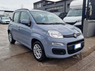 Fiat Panda 1.2 Easy Grigio usata Frattaminore