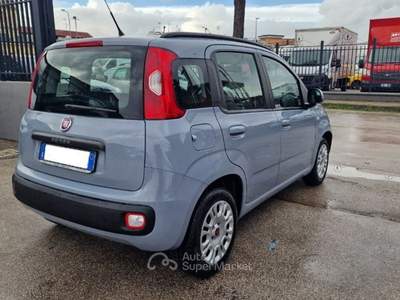 Fiat Panda 1.2 Easy Grigio usata Frattaminore