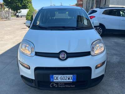 Fiat Panda 1.0 FireFly Hybrid SPORT PREZZO REALE NO VINCOLI Bianco usata Nogarole Rocca