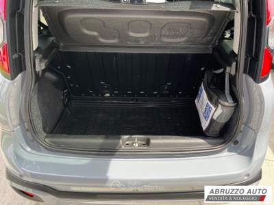 Fiat Panda 1.0 FireFly S&S Hybrid City Cross Grigio usata Città Sant'Angelo