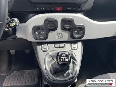 Fiat Panda 1.0 FireFly S&S Hybrid City Cross Grigio usata Città Sant'Angelo