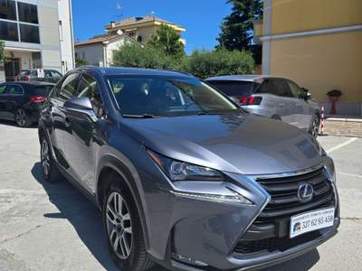Lexus NX 300h 2.5 Executive 4wd cvt Nero usata Civitanova Marche