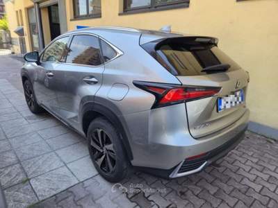 Lexus NX Hybrid 4WD Premium Grigio usata Sesto San Giovanni