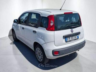 Fiat Panda 69cv Bianco usata Massarosa