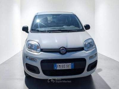 Fiat Panda 69cv Bianco usata Massarosa