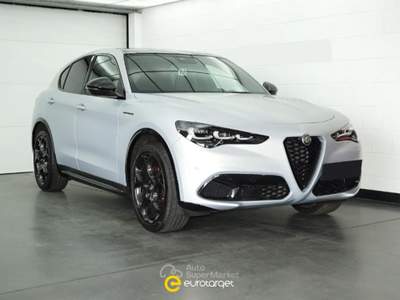 Alfa Romeo Stelvio 2.2 Turbodiesel 210 CV AT8 Q4 Competizione Argento usata Pieve di Cento