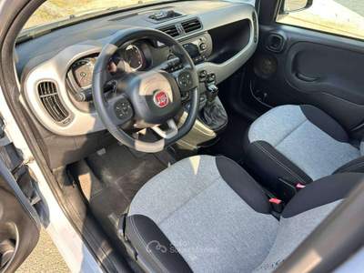 Fiat Panda 1.2 Easy easypower Gpl 69cv my19 - NEOPATENTATI Grigio usata Sesto San Giovanni