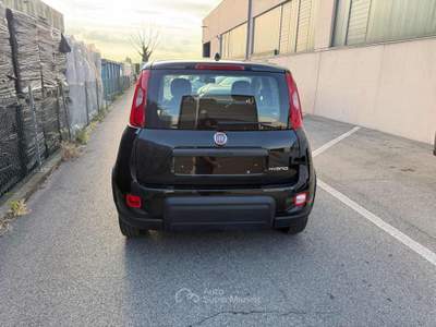 Fiat Panda 1.0 FireFly S&S Hybrid Nero usata Venezia