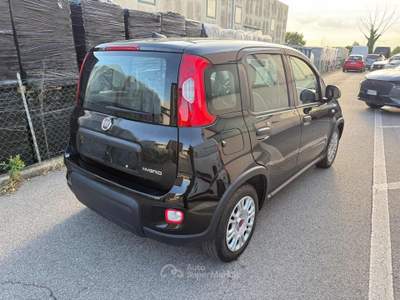Fiat Panda 1.0 FireFly S&S Hybrid Nero usata Venezia