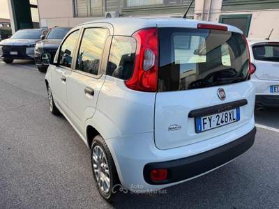 Fiat Panda 1.2 Easy Bianco usata Venezia