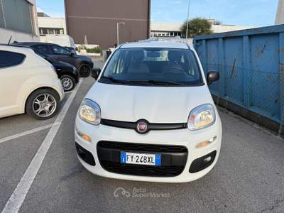 Fiat Panda 1.2 Easy Bianco usata Venezia