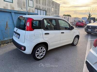 Fiat Panda 1.2 Easy Bianco usata Venezia