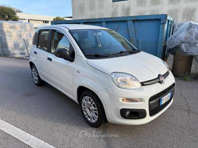 Fiat Panda 1.2 Easy Bianco usata Venezia