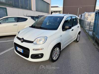 Fiat Panda 1.2 Easy Bianco usata Venezia
