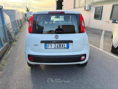 Fiat Panda 1.2 Easy Bianco usata Venezia