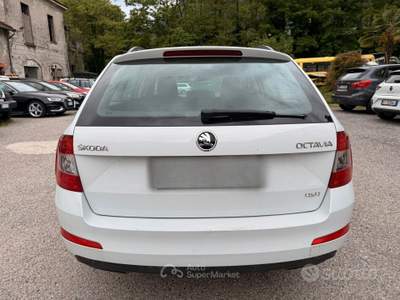 Skoda Octavia CR 110 CV 4x4 Wagon Executiv usata Omegna