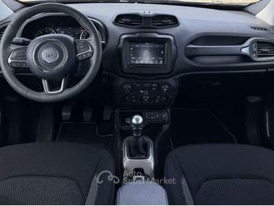 Jeep Renegade 1.6 Mjt 130 CV Business Grigio usata Sant'Anastasia
