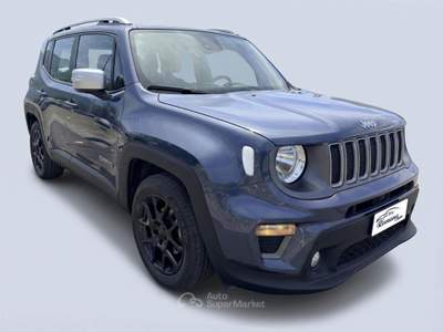Jeep Renegade 1.6 Mjt 130 CV Business Grigio usata Sant'Anastasia