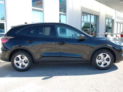 Ford Kuga FORD KUGA 1.5 Ecoblue Connect 2WD 120cv Nero usata Pordenone