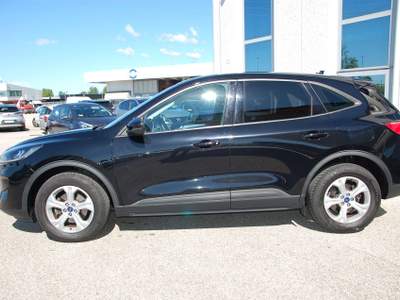 Ford Kuga FORD KUGA 1.5 Ecoblue Connect 2WD 120cv Nero usata Pordenone