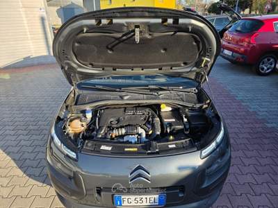 Citroen C4 Cactus S&S ETG6 Shine Grigio usata Gemona del Friuli