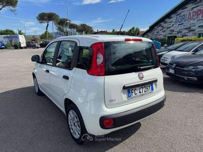 Fiat Panda Panda III  1.2 BENZINA 69cv E6 2016 Bianco usata Latina