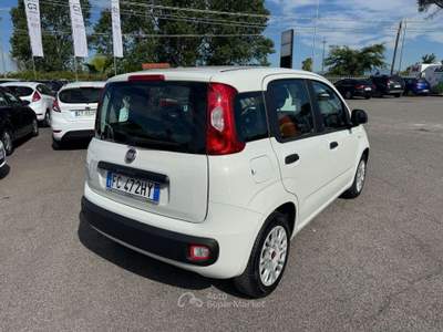 Fiat Panda Panda III  1.2 BENZINA 69cv E6 2016 Bianco usata Latina