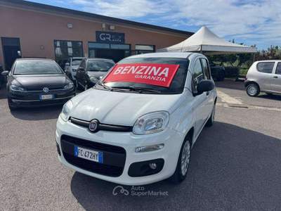 Fiat Panda Panda III  1.2 BENZINA 69cv E6 2016 Bianco usata Latina